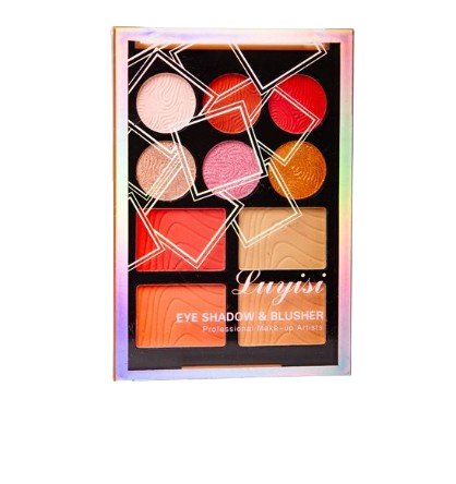 Multicolor Professional 10 Color Palette Makeup Kit